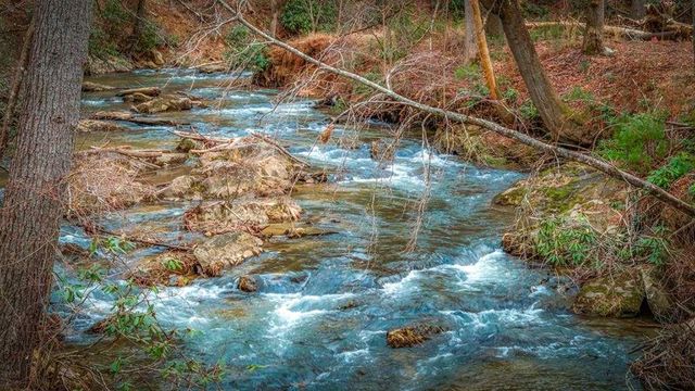 164 Water Dance Trail, Blue Ridge, GA 30513