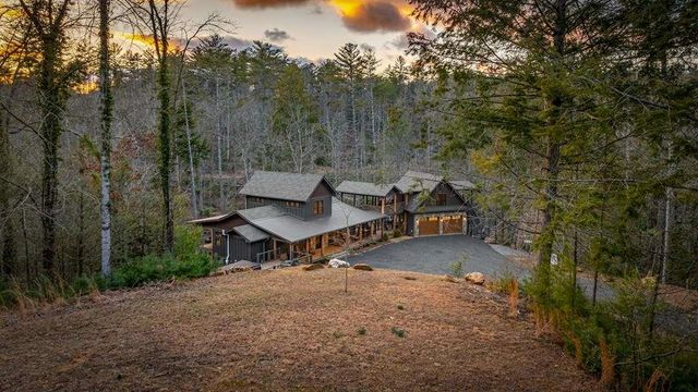 164 Water Dance Trail, Blue Ridge, GA 30513