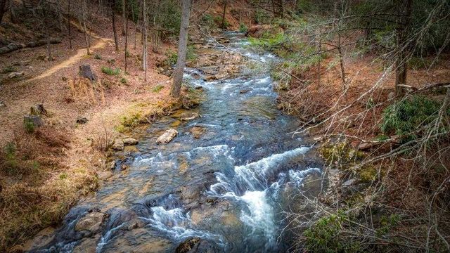 164 Water Dance Trail, Blue Ridge, GA 30513