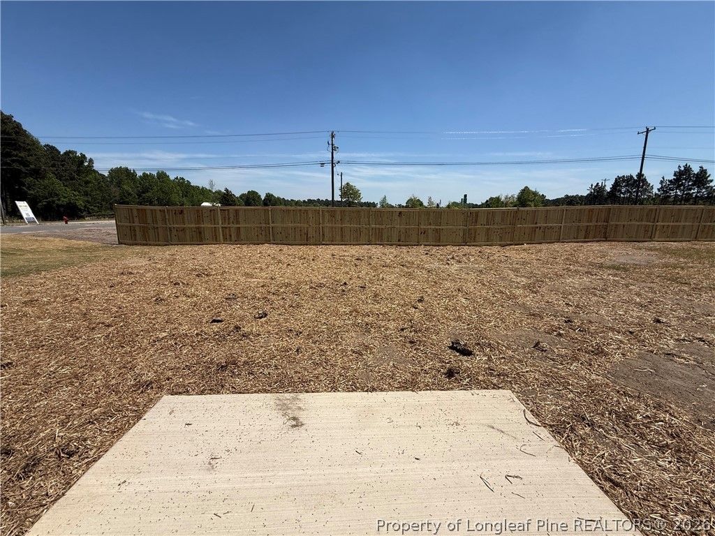 501 Bartley Street, Vass, NC 28394 — photo 11