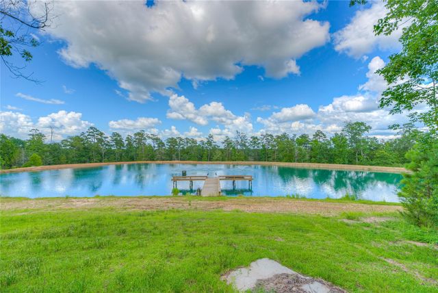 8214 Fm 350 N, Livingston, TX 77351