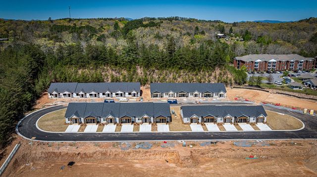 Unit 50 Grove Loop, Blue Ridge, GA 30513