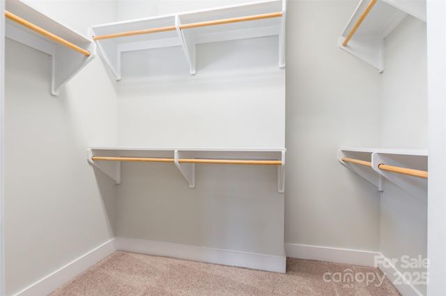 2515 Euclid Avenue, Charlotte, NC 28203