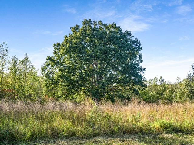 697 Johnson Branch Rd, Williamsport, TN 38487