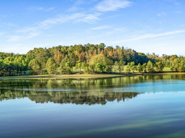 697 Johnson Branch Rd, Williamsport, TN 38487