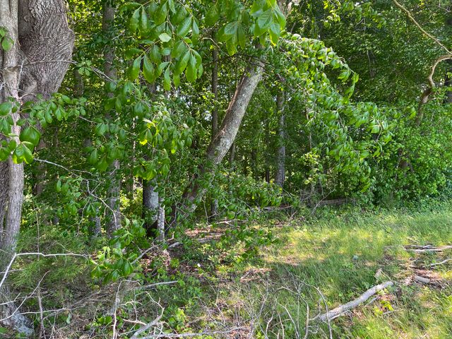 77 Meadows Loop, Russell Springs, KY 42642