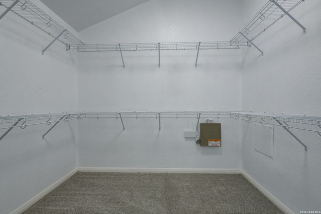 13006 Essen Forest, Helotes, TX 78023