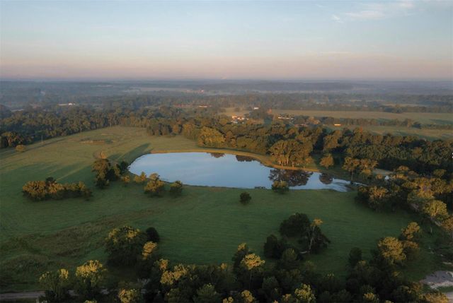 10721 Ruger Road, Willis, TX 77378