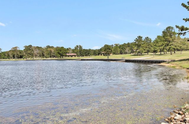 10721 Ruger Road, Willis, TX 77378