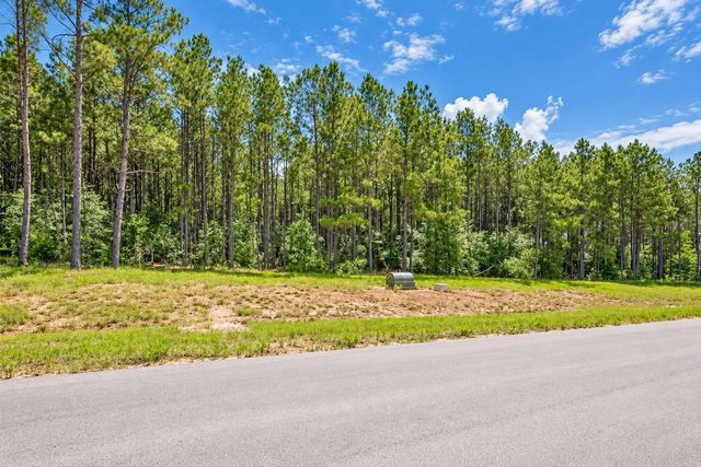 10721 Ruger Road, Willis, TX 77378