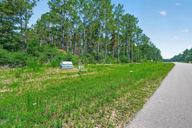 10721 Ruger Road, Willis, TX 77378