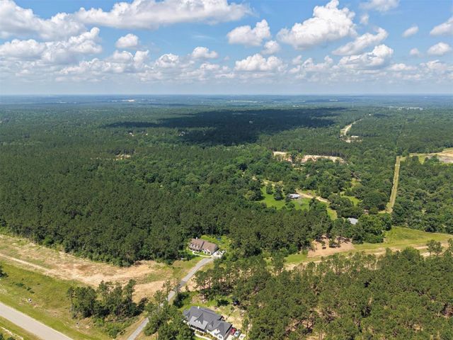 10721 Ruger Road, Willis, TX 77378