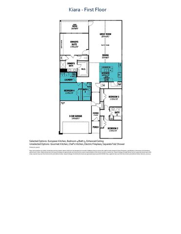 4108 Blackbird Avenue, Little Elm, TX 75068