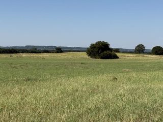 TBD Highway 36 50 ac+/-, Comanche, TX 76442