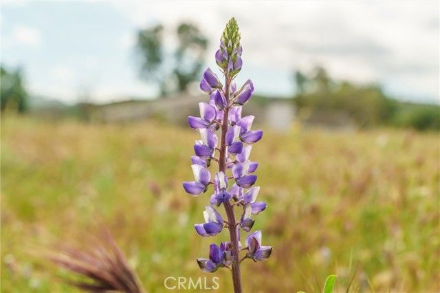 33041 Briggs Road, Menifee, CA 92584