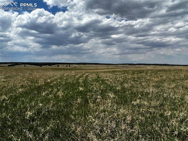 11970 Woodridge Terrace, Colorado Springs, CO 80908