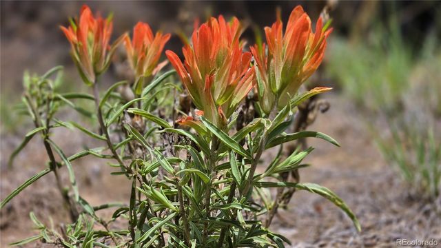 20 Colorado Mountain Lake Estates, Trinidad, CO 81082