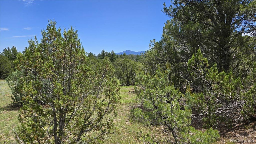 20 Colorado Mountain Lake Estates, Trinidad, CO 81082