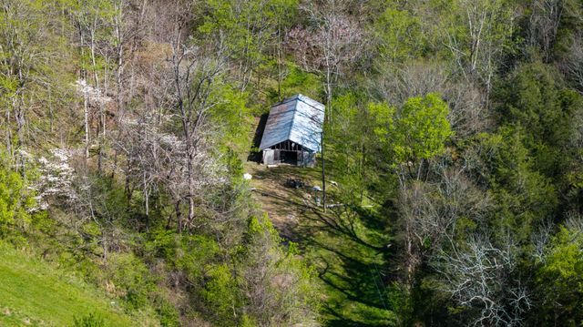 4818 Ensor Hollow Rd, Buffalo Valley, TN 38548