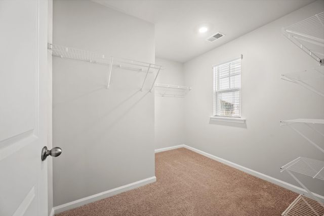 312 Black Birch Drive, Summerville, SC 29486
