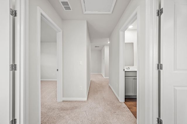 312 Black Birch Drive, Summerville, SC 29486