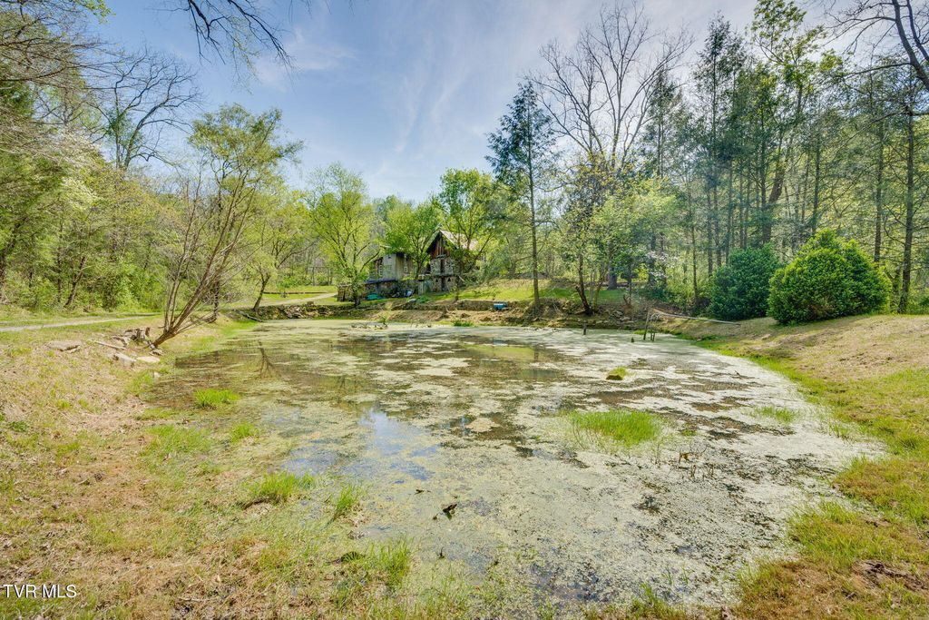170 Davis Road, Thorn Hill, TN 37881