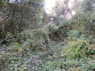 NE 174TH COURT, Silver Springs, FL 34488