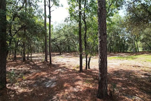4546 S EVERGREEN AVENUE, Homosassa, FL 34446