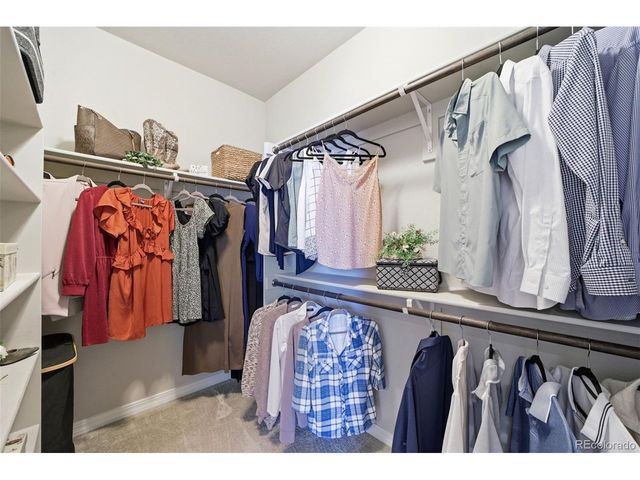 1444 Captiva Beach Ln, Monument, CO 80132
