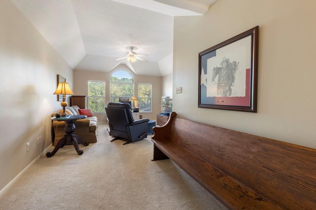 6 Tethered Vine Place, The Woodlands, TX 77382