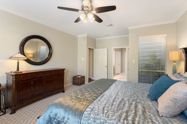 6 Tethered Vine Place, The Woodlands, TX 77382