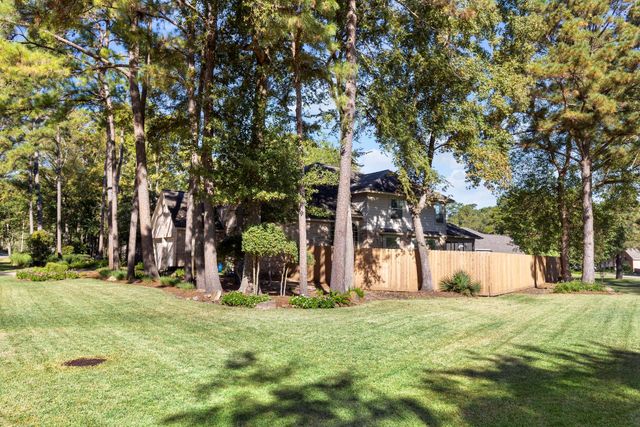 6 Tethered Vine Place, The Woodlands, TX 77382