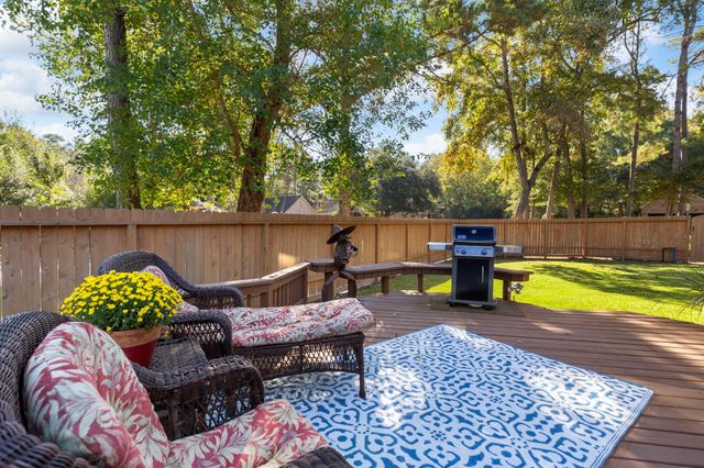 6 Tethered Vine Place, The Woodlands, TX 77382