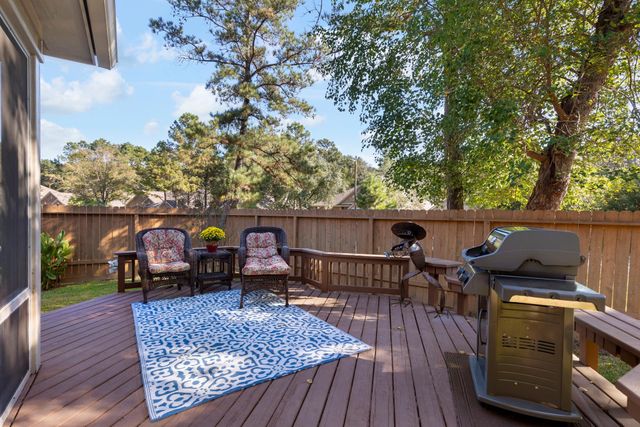 6 Tethered Vine Place, The Woodlands, TX 77382
