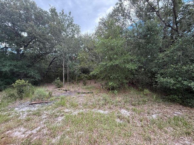 1012 Wildflower Street, Lake Placid, FL 33852