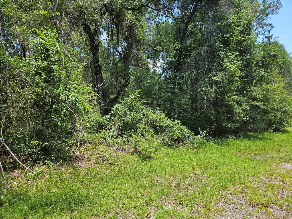 1139 KINGSDALE ST., Dunnellon, FL 34434