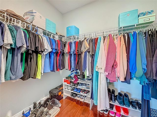 356 HARBOR RIDGE DRIVE, Palm Harbor, FL 34683