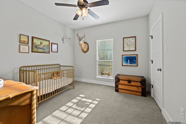 18478 Magnolia Est, Prairieville, LA 70769