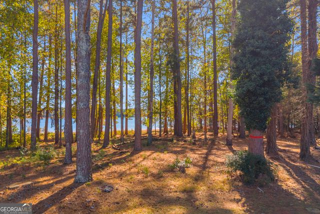 1244 Elrod Ferry Road, Hartwell, GA 30643