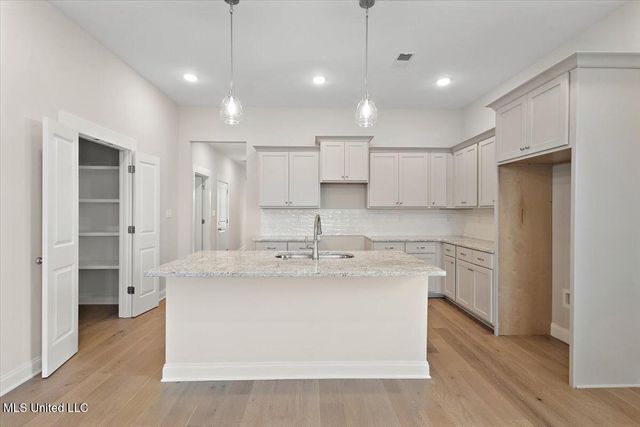 773 W Quitman Court, Nesbit, MS 38651