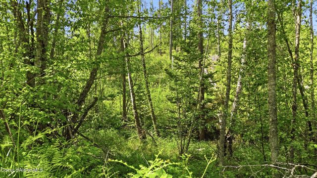 NKA Jewel Lake Rd, Sagle, ID 83860