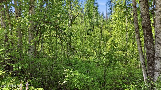 NKA Jewel Lake Rd, Sagle, ID 83860
