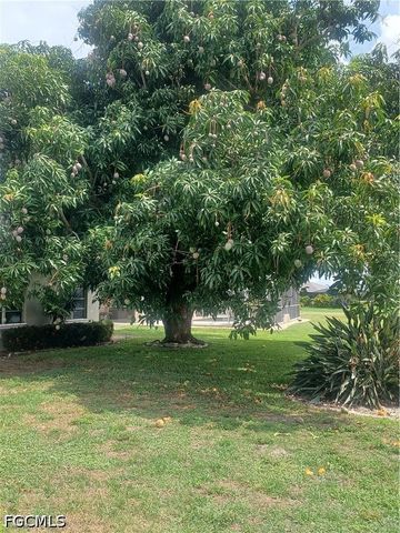3727 Palm Tree BLVD, Cape Coral, FL 33904