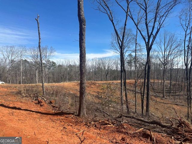 1305 Lawrence Road, Dawsonville, GA 30534