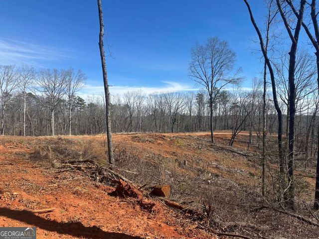 1305 Lawrence Road, Dawsonville, GA 30534