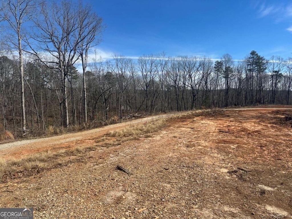 1305 Lawrence Road, Dawsonville, GA 30534