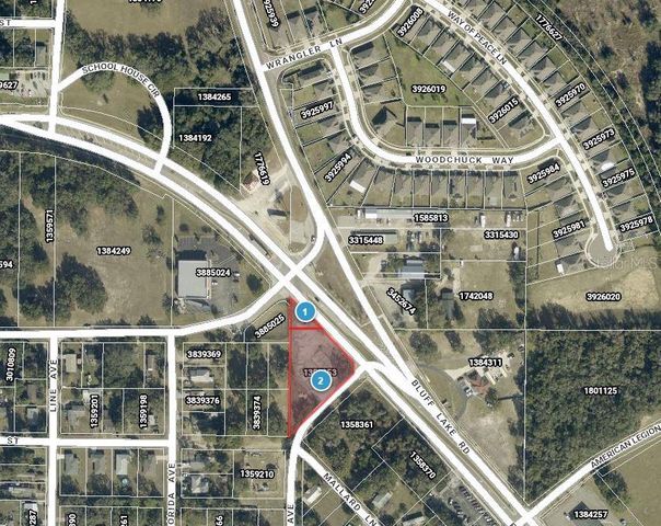 E MYERS BOULEVARD, Mascotte, FL 34753