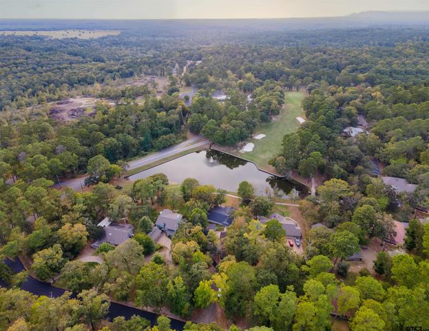 125 Rainbow Cove, Holly Lake Ranch, TX 75765