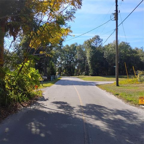 TBD SE 61ST PLACE, Ocklawaha, FL 32179