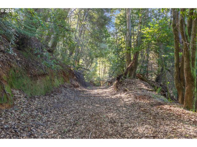 95300 GRASSY KNOB Rd, Sixes, OR 97476